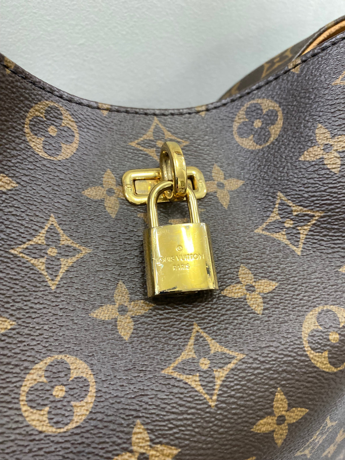 LOUIS VUITTON MONOGRAM Gaïa SHOULDER BAG