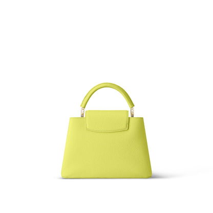 LOUIS VUITTON CAPUCINES MM LIMITED EDITION BAG