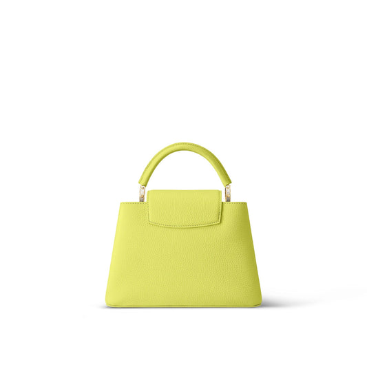 LOUIS VUITTON CAPUCINES MM LIMITED EDITION BAG