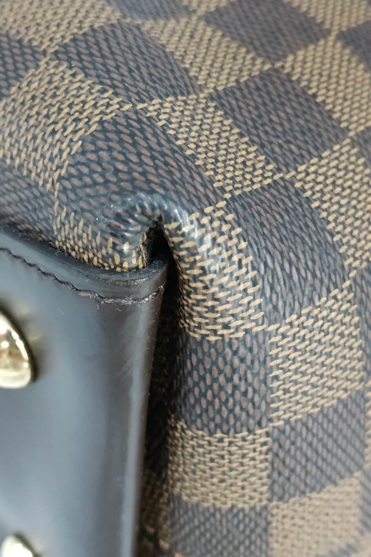 Damier Ebene Duomo Hobo Brown