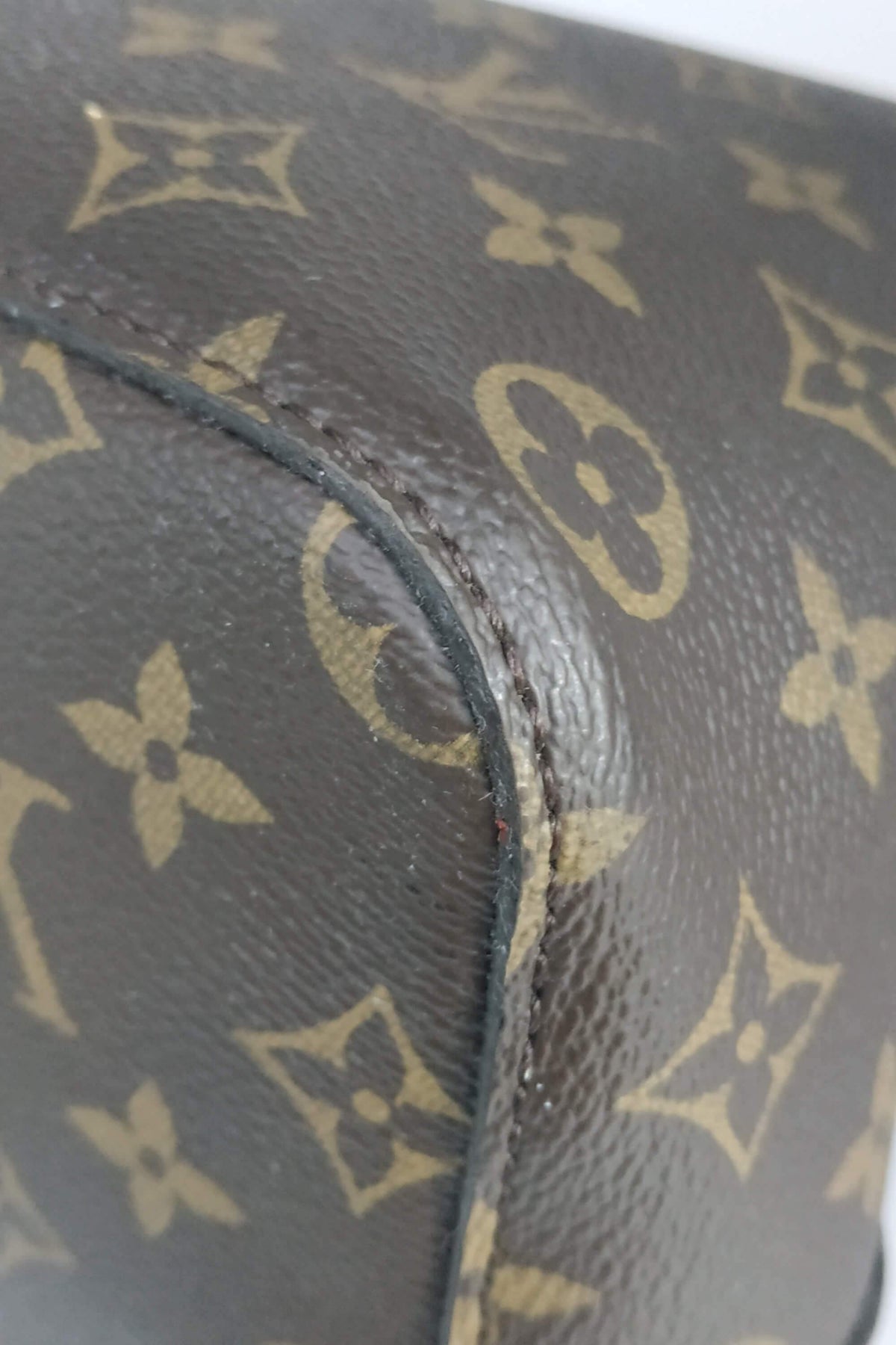 Monogram NeoNoe MM Brown Red
