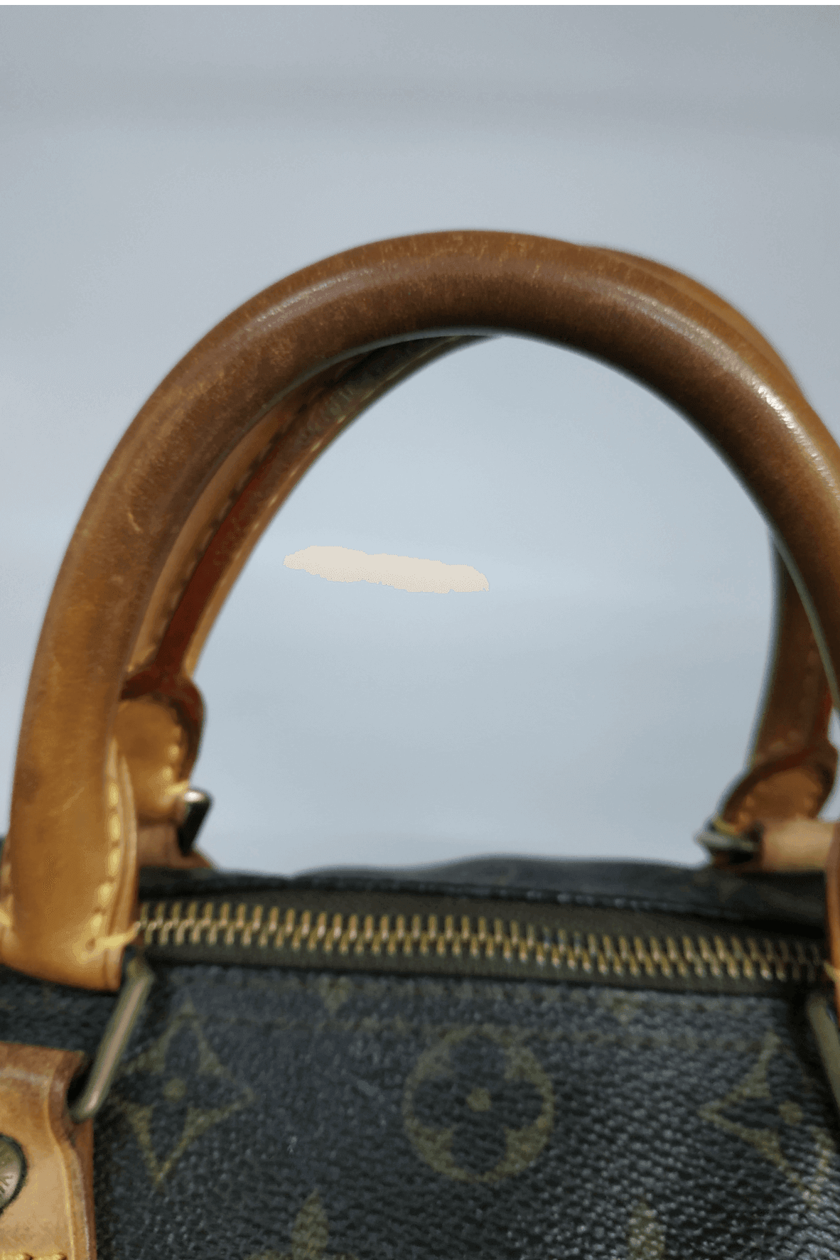 Monogram Speedy 30 Brown