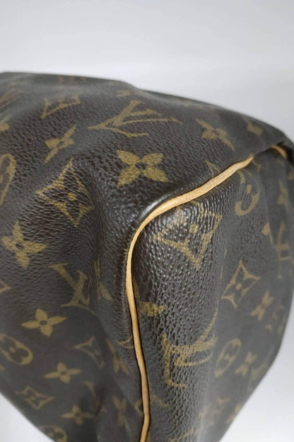 Monogram Speedy 30 Brown