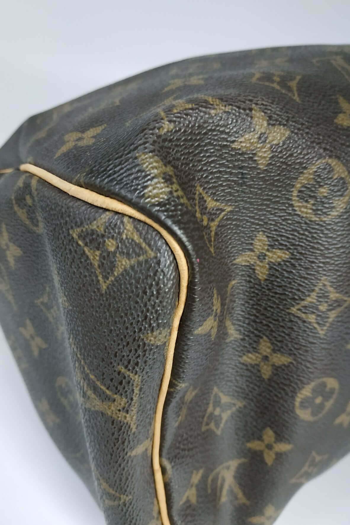 Monogram Speedy 30 Brown