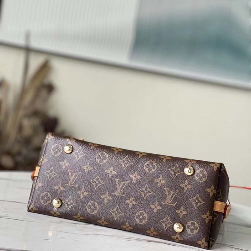 Louis Vuitton Women LV CarryAll PM Handbag Brown Monogram Coated Canvas