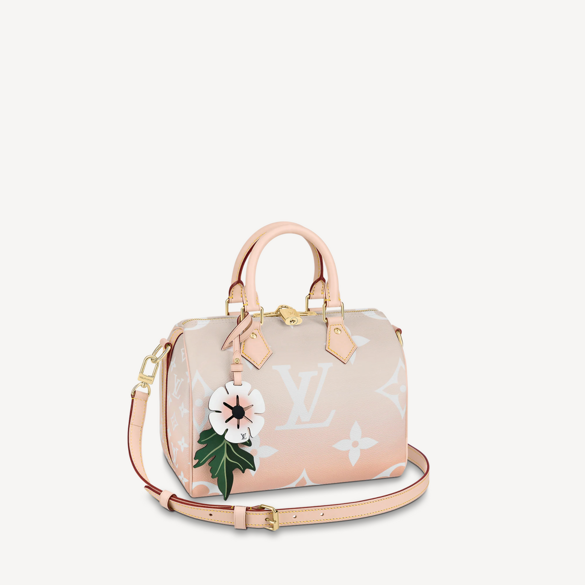 Louis Vuitton Speedy Bandouliere 25 M45722
