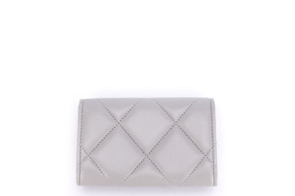 Chanel 19 Light Grey  Case (T9PGxxxx), Silver Hardware, with Dust Cover & Box