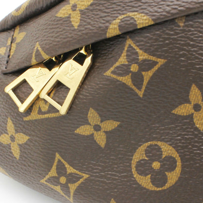 Louis-vuitton Monogram Giant Bumbag