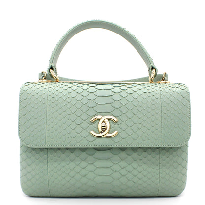 Snack skin Small Trendy CC Flap Dual Handle Bag Light Green