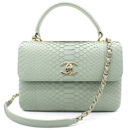 Snack skin Small Trendy CC Flap Dual Handle Bag Light Green