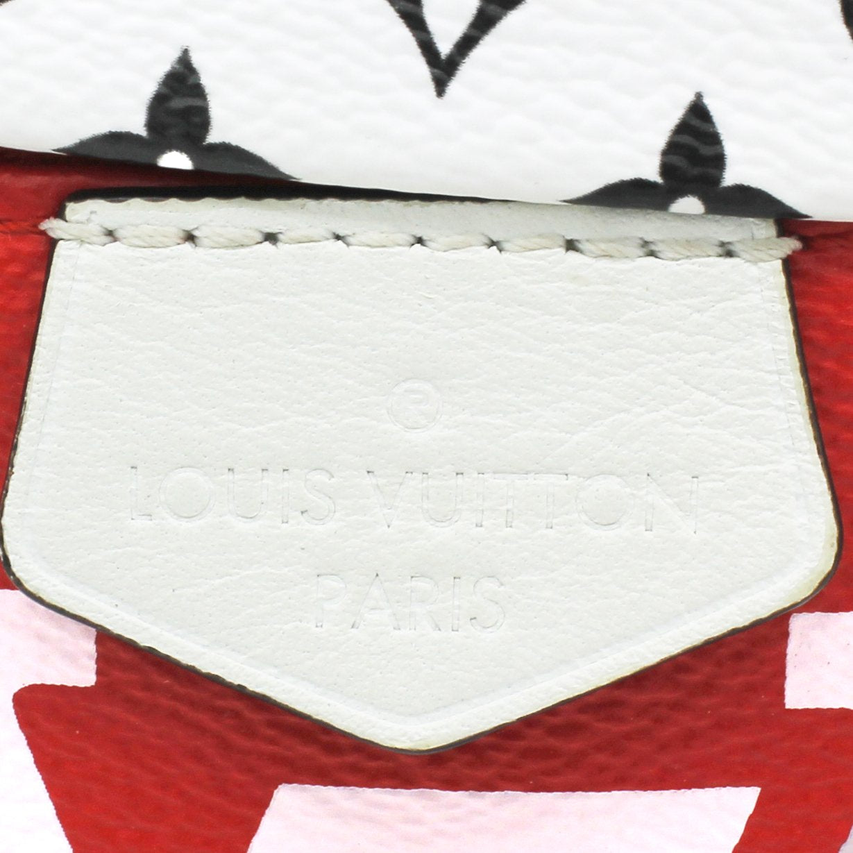 Louis-vuitton Monogram Giant Bumbag Rouge