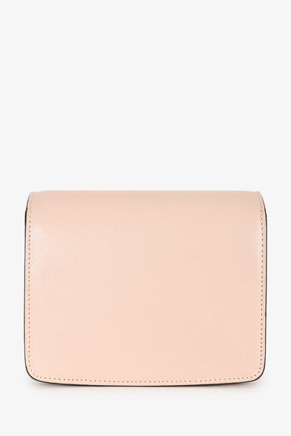 Celine 2018 Pink Leather Small Classic Box Crossbody