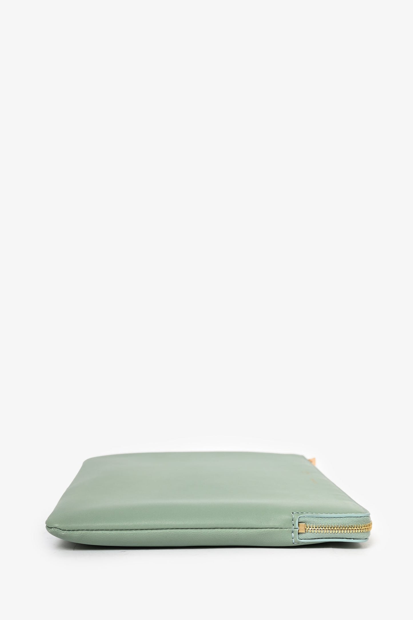 Celine Clear PVC Logo Tote with Green Leather Pouch