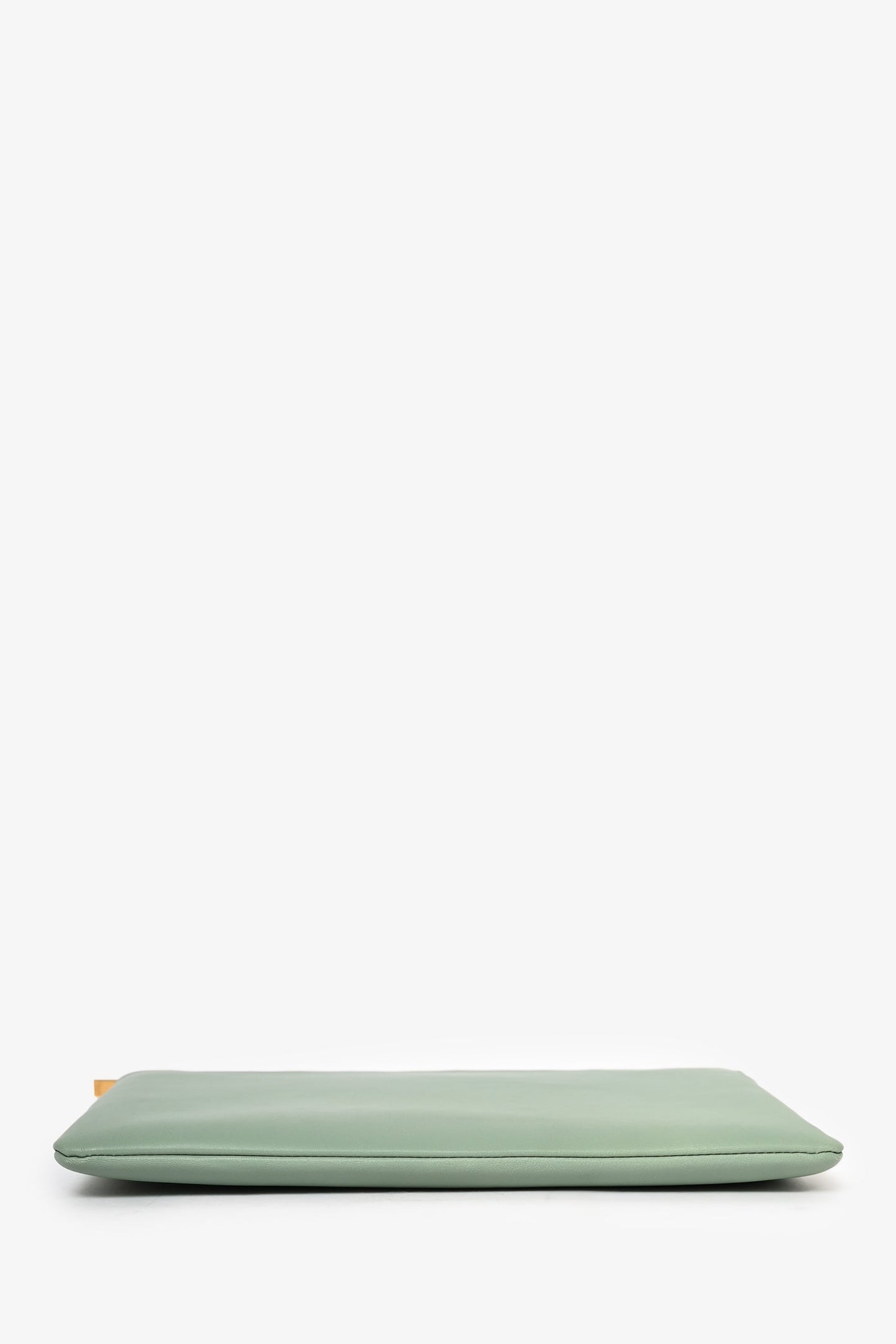 Celine Clear PVC Logo Tote with Green Leather Pouch