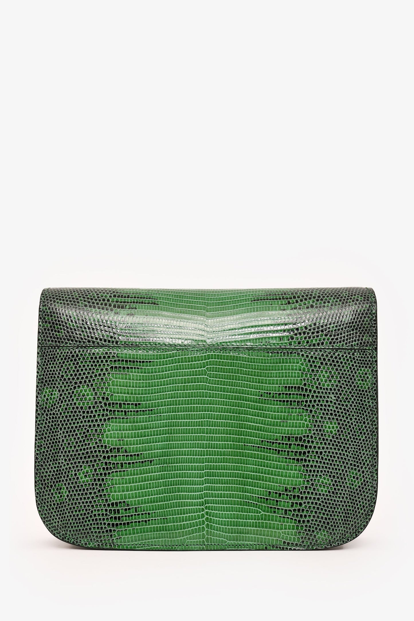 Celine Green Lizard Medium Box Bag