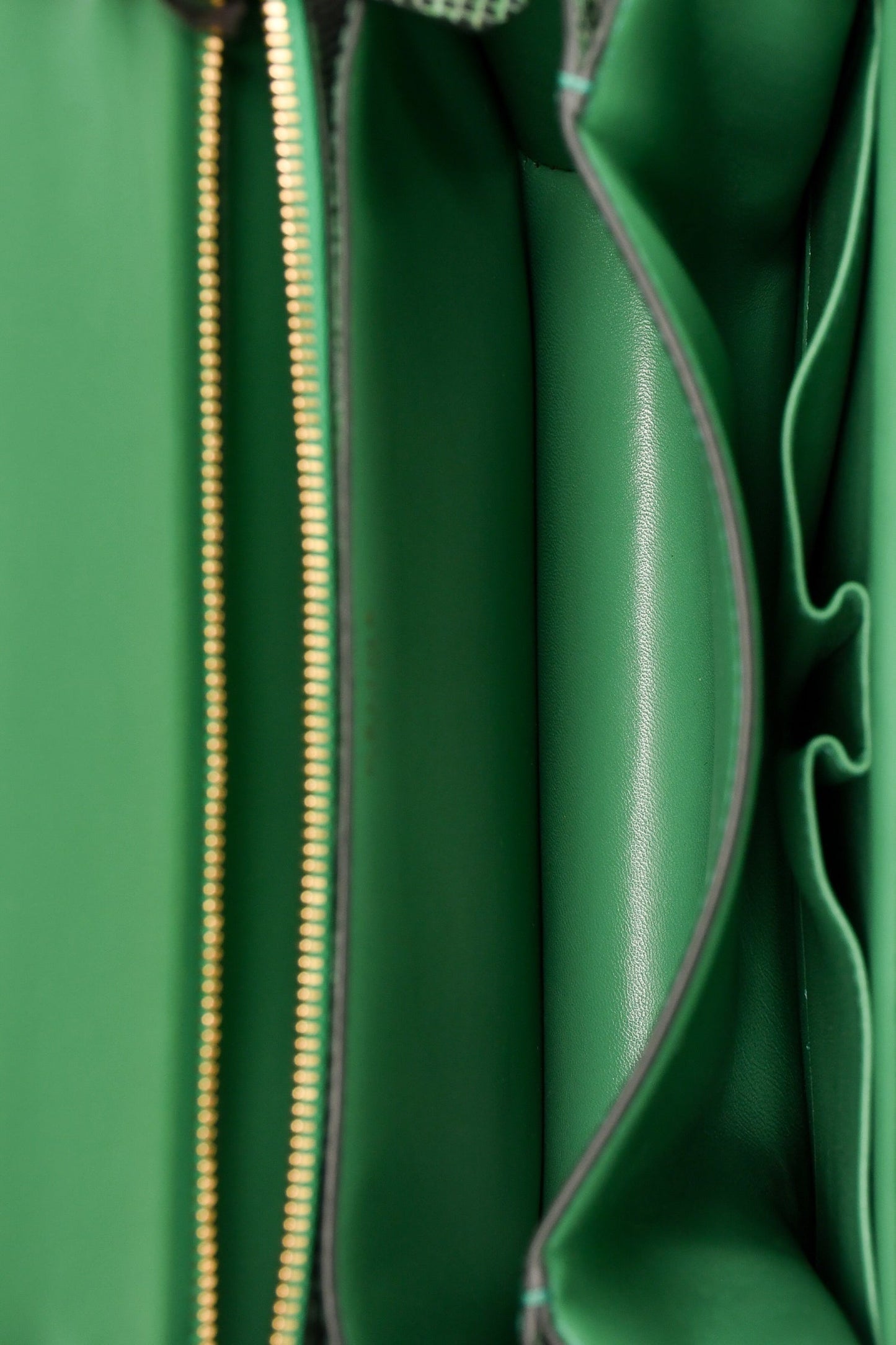 Celine Green Lizard Medium Box Bag