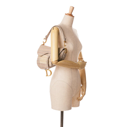 Embroidered Canvas Stripes Saddle Bag