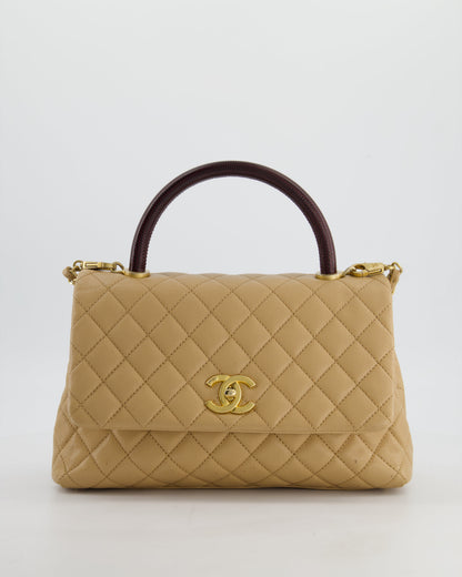 Chanel Medium Coco Top Handle Bag in Chai Beige Caviar Leather with Brushed Gold Hardware