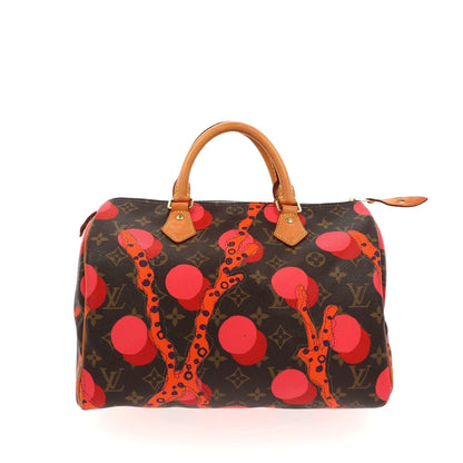 LOUIS VUITTON Speedy Handbag in Brown Canvas