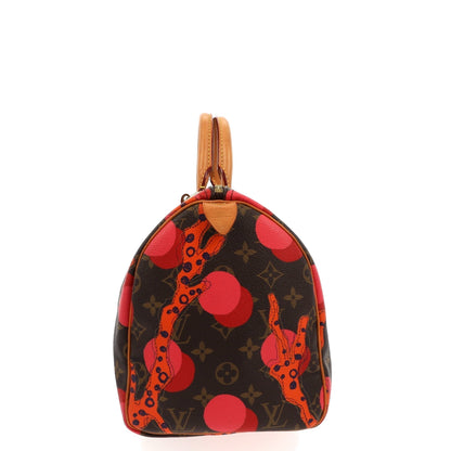 LOUIS VUITTON Speedy Handbag in Brown Canvas