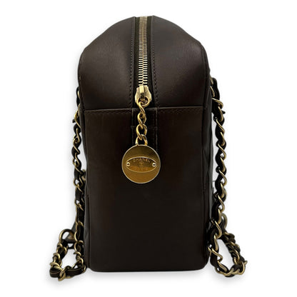 Camera Brown Shoulder Bag in Calfskin, Gold hardware