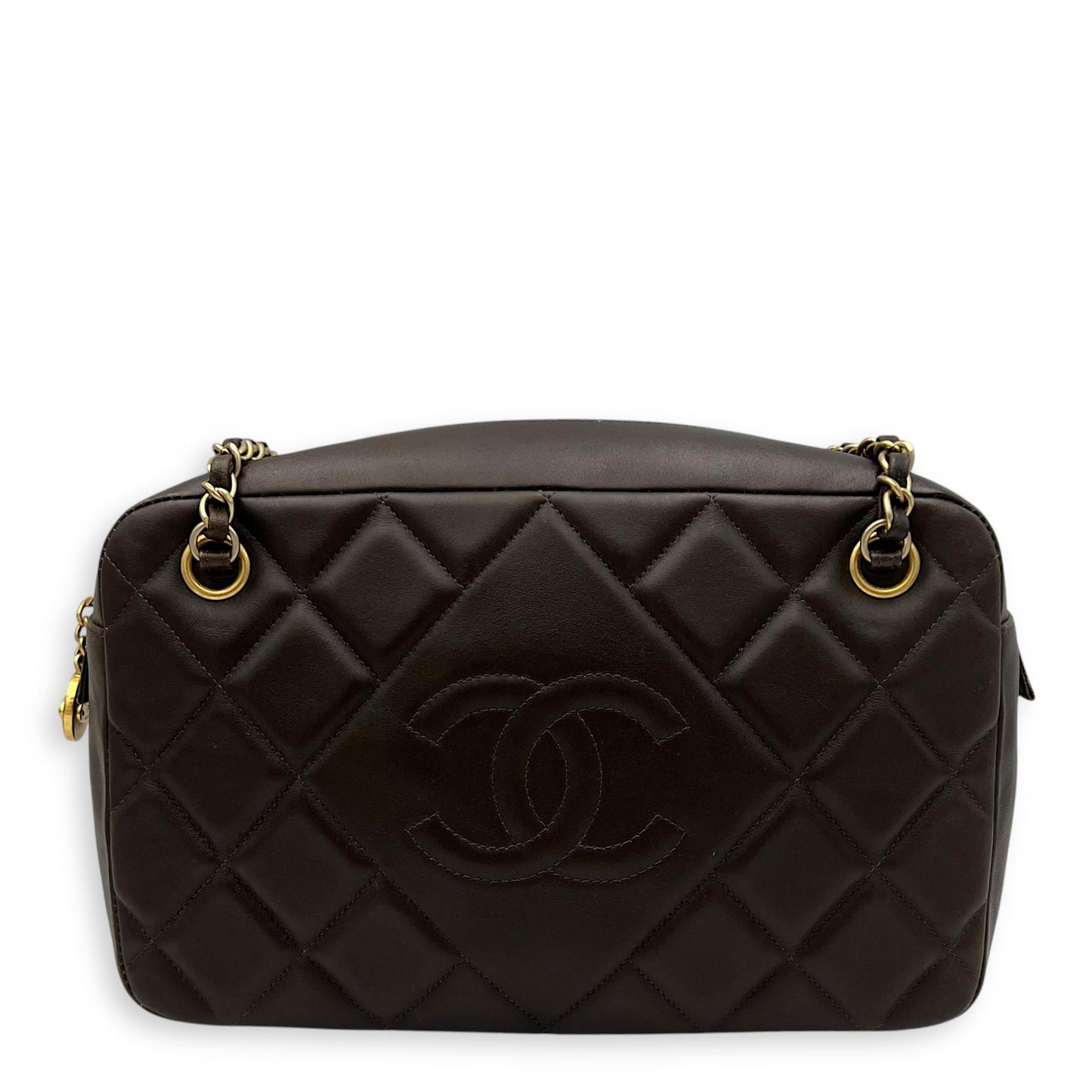 Camera Brown Shoulder Bag in Calfskin, Gold hardware