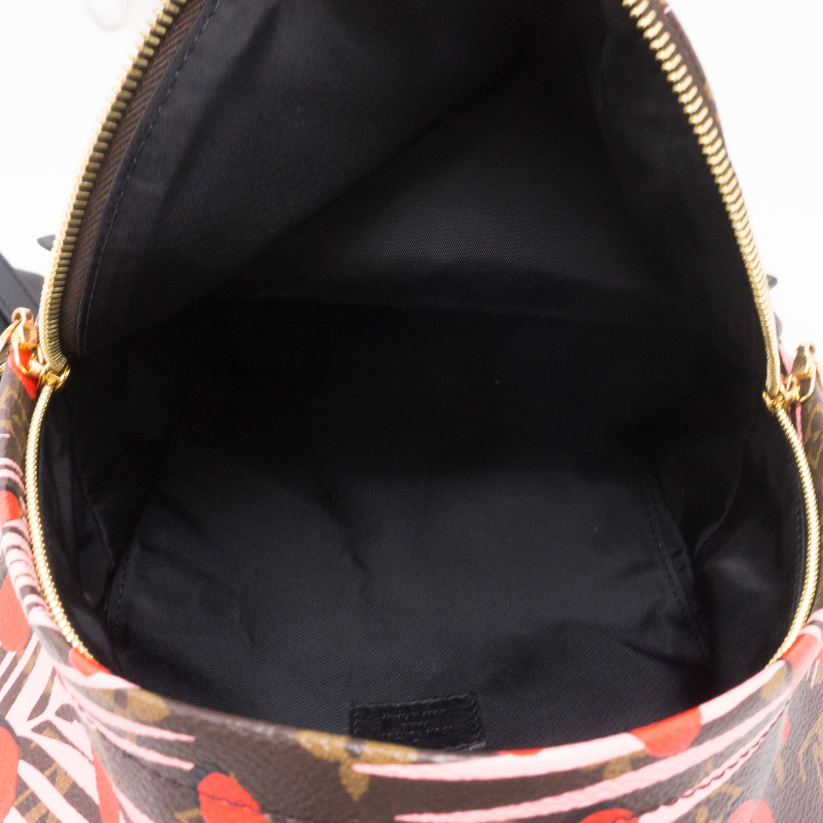 Louis-vuitton Palm Springs PM Backpack Monogram Jungle Dots