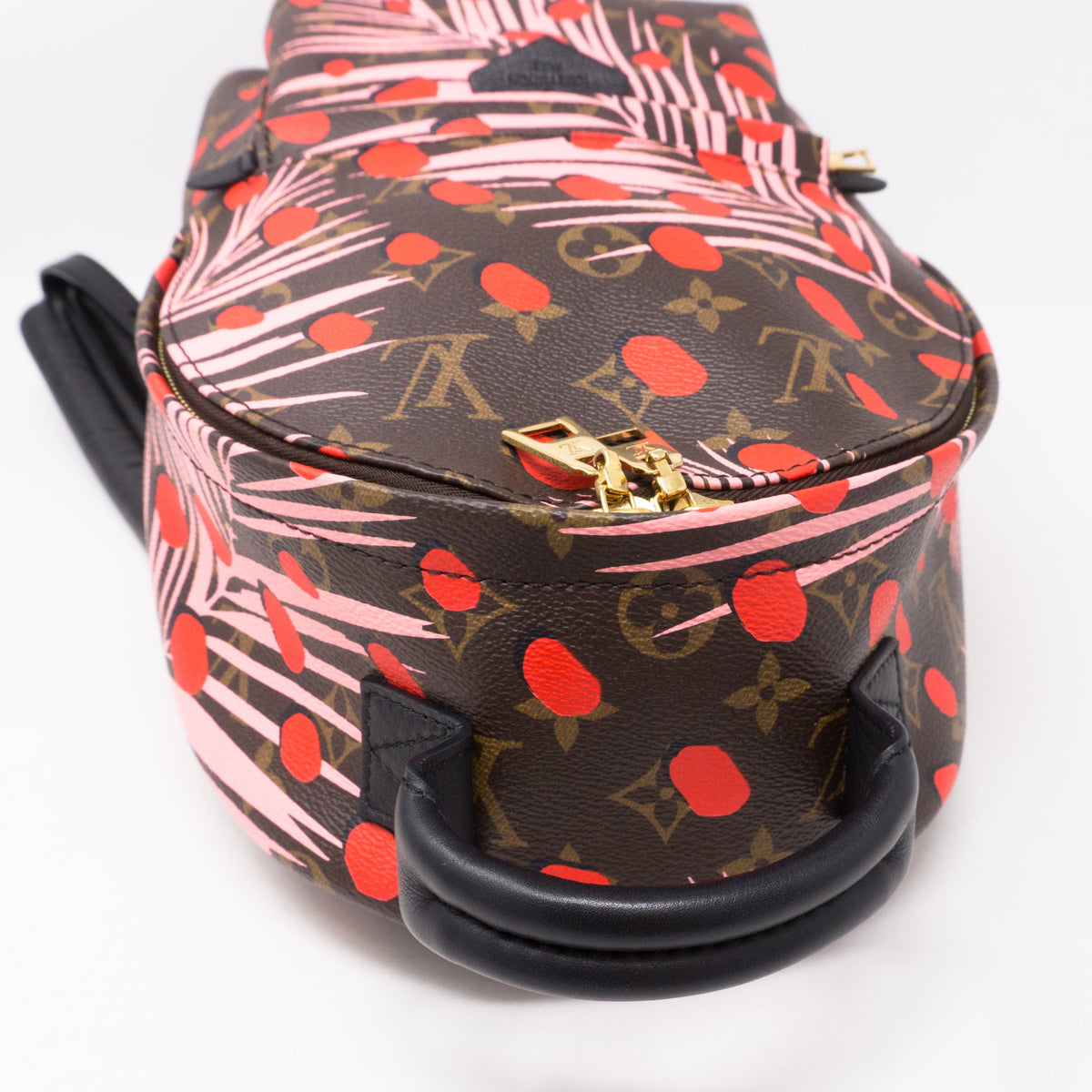 Louis-vuitton Palm Springs PM Backpack Monogram Jungle Dots