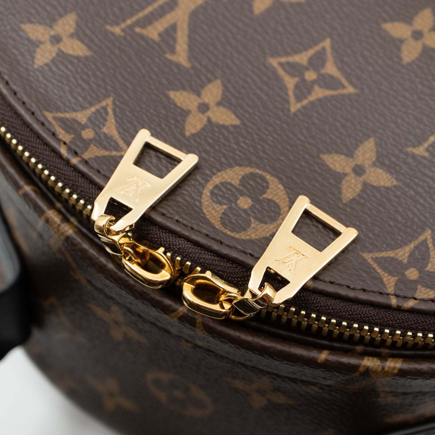 Louis-vuitton Palm Springs MM Monogram