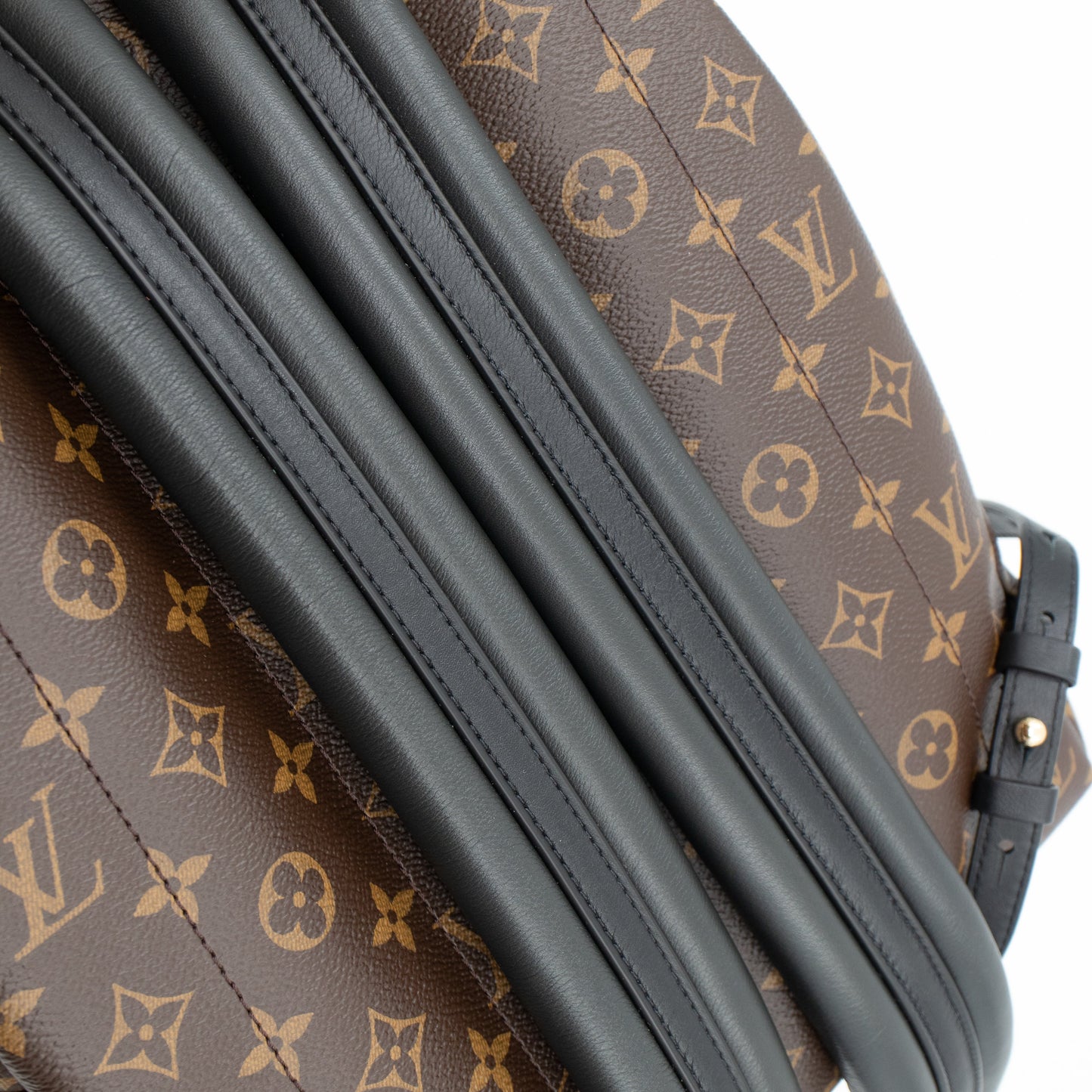Louis-vuitton Palm Springs MM Monogram