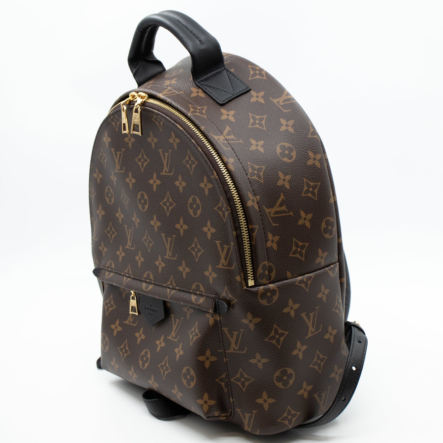 Louis-vuitton Palm Springs MM Monogram