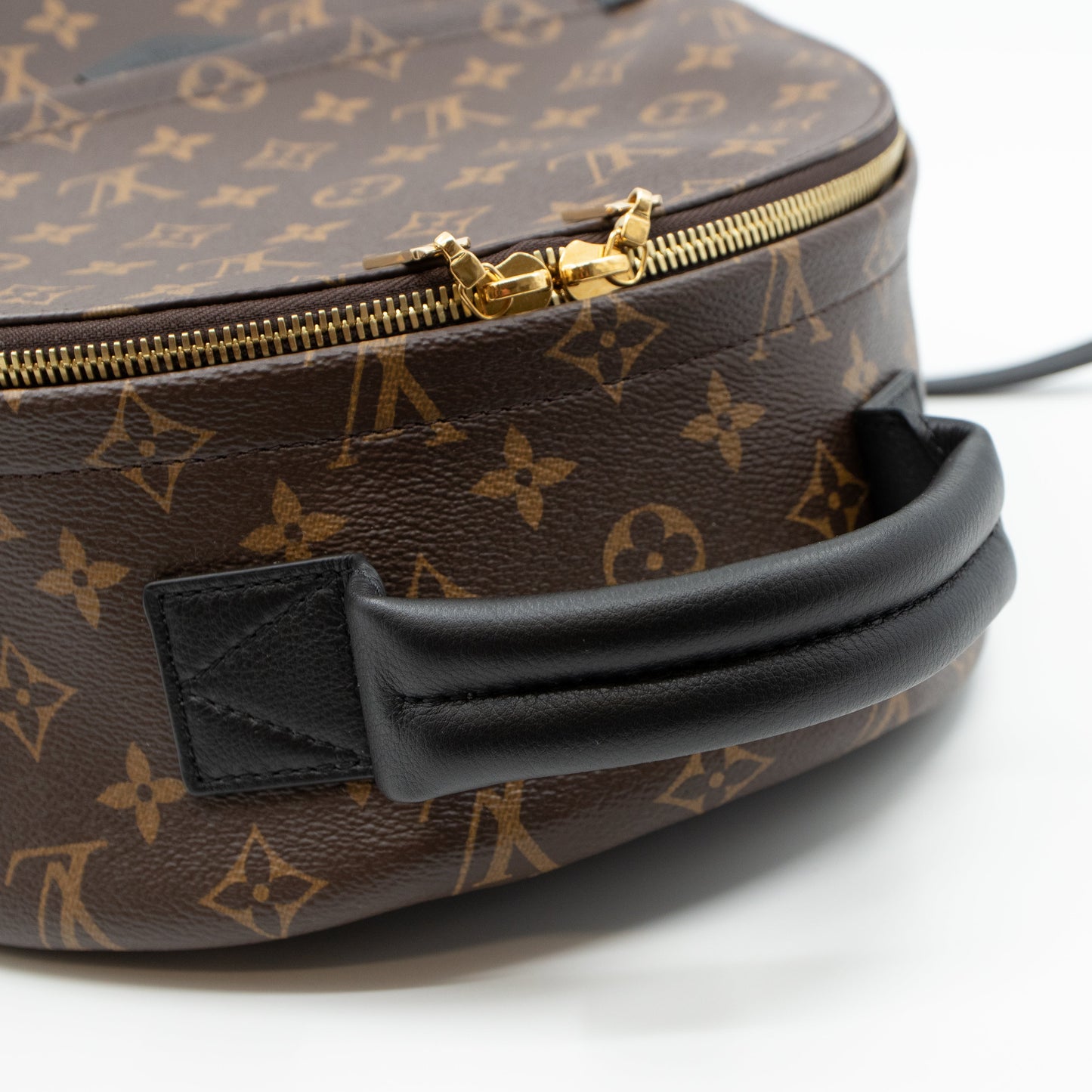 Louis-vuitton Palm Springs MM Monogram