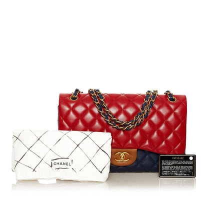Chanel Tricolor Medium Classic Double Flap bag