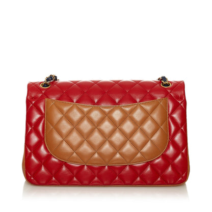 Chanel Tricolor Medium Classic Double Flap bag