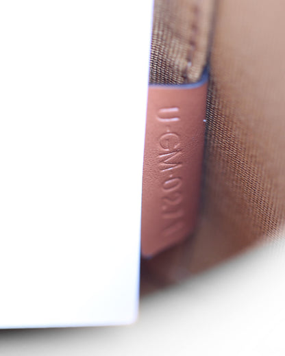 Celine Brown/Tan Triomphe Coated Canvas & Calfskin Leather Medium Crossbody Bag