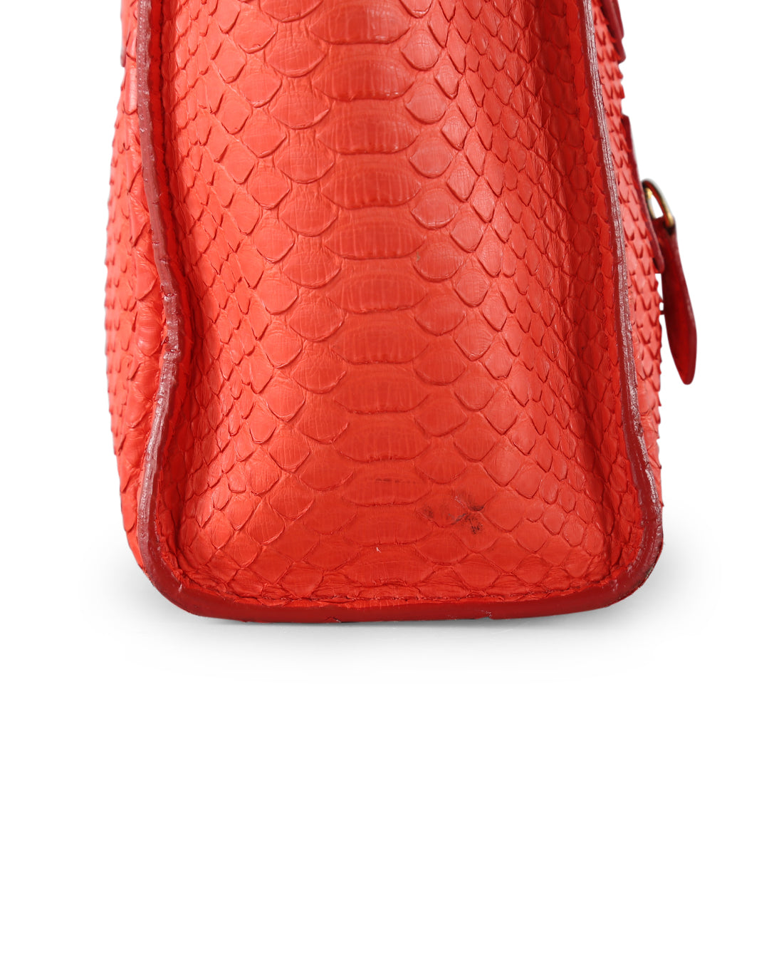 Celine Coral Python Nano Luggage Tote Bag