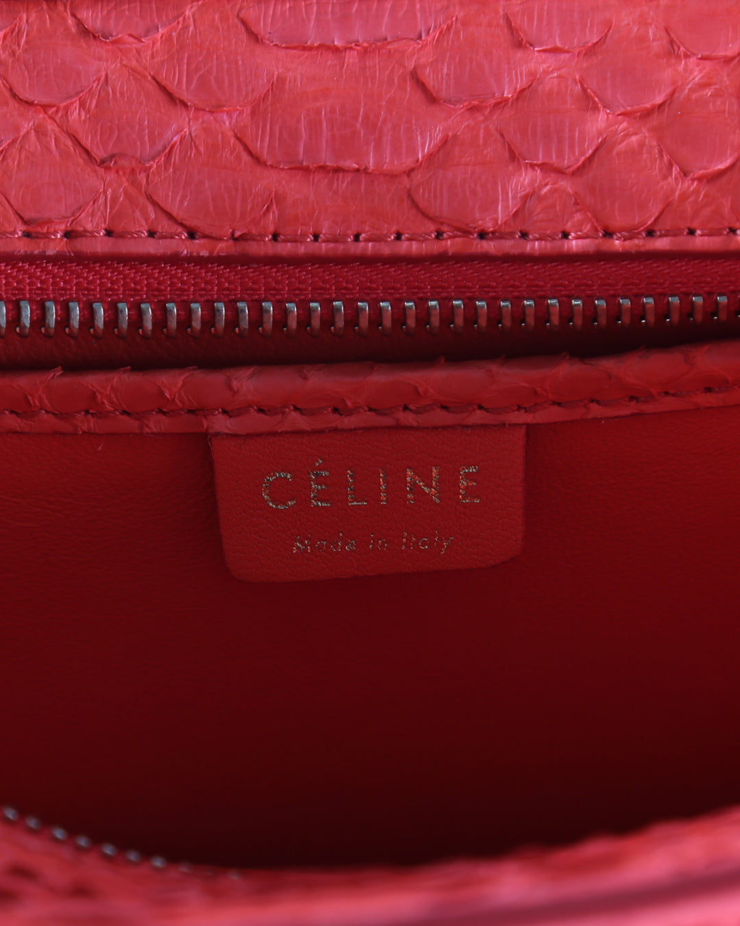 Celine Coral Python Nano Luggage Tote Bag