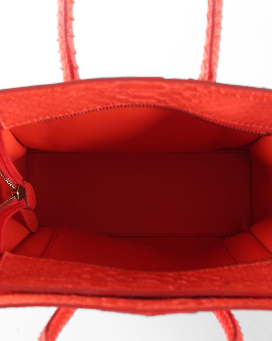 Celine Coral Python Nano Luggage Tote Bag