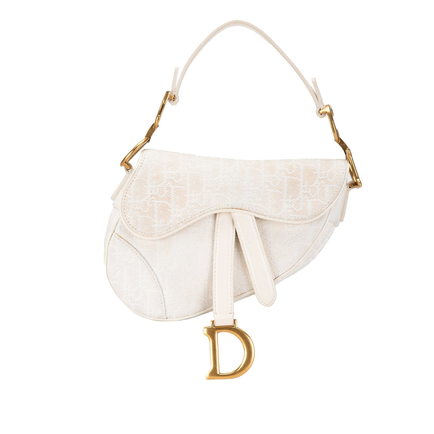 Mini Oblique Canvas Saddle