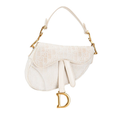 Mini Oblique Canvas Saddle