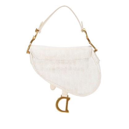 Mini Oblique Canvas Saddle