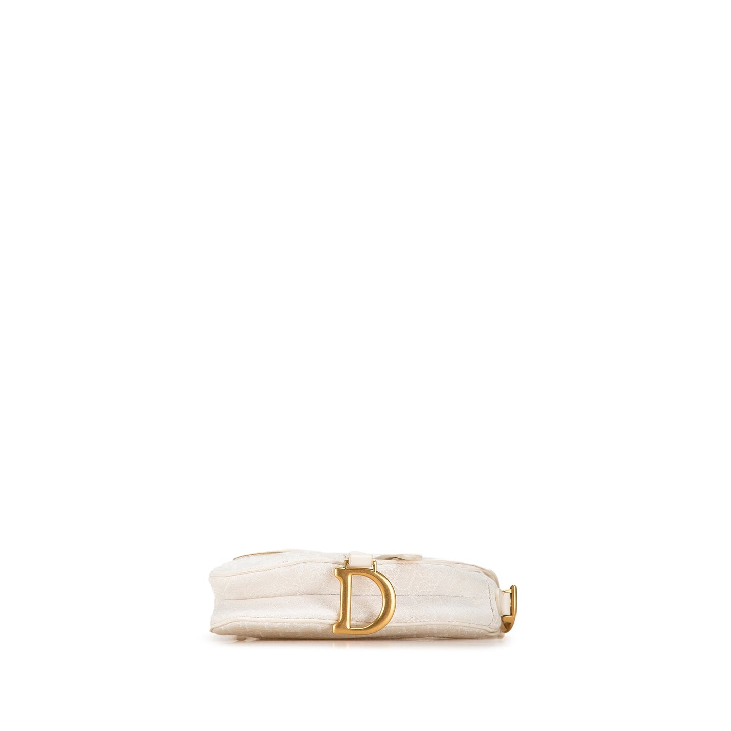 Mini Oblique Canvas Saddle