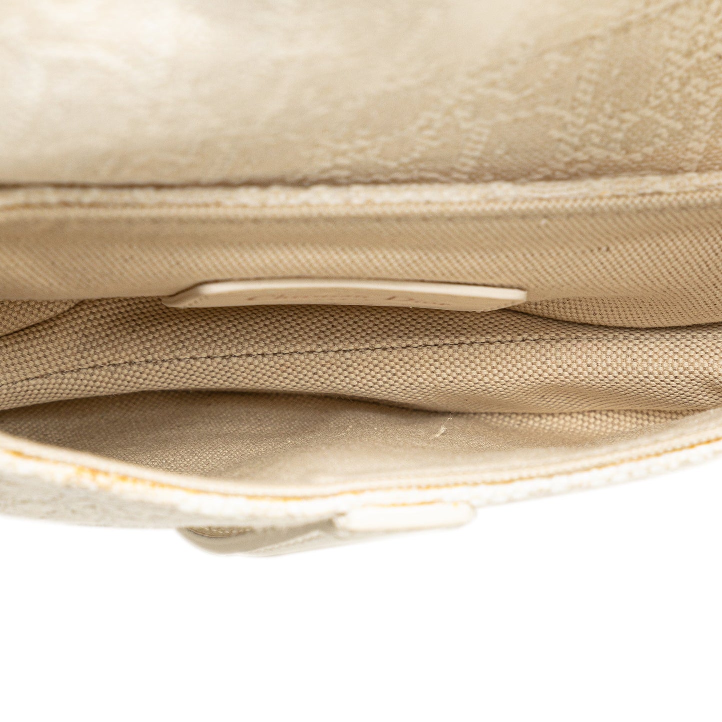 Mini Oblique Canvas Saddle