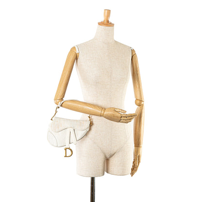 Mini Oblique Canvas Saddle