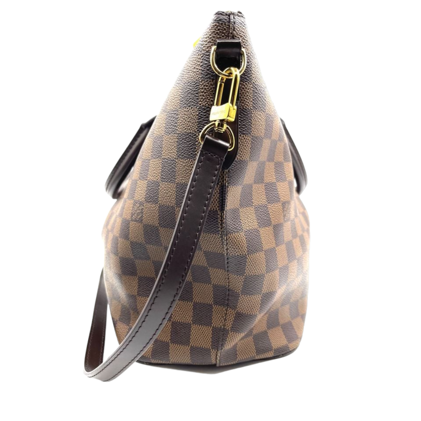 Louis-Vuitton Damier Ebene Siena MM PVC leather Brown 2WAY GHW