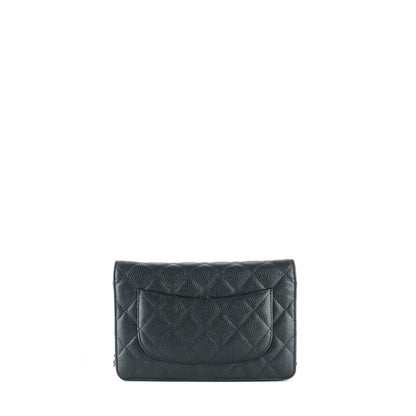 Chanel Chanel Handbags Wallet On Chain Timeless/Classique
