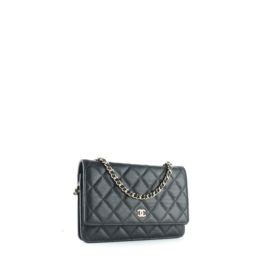 CHANEL Handbags Wallet On Chain Timeless/Classique