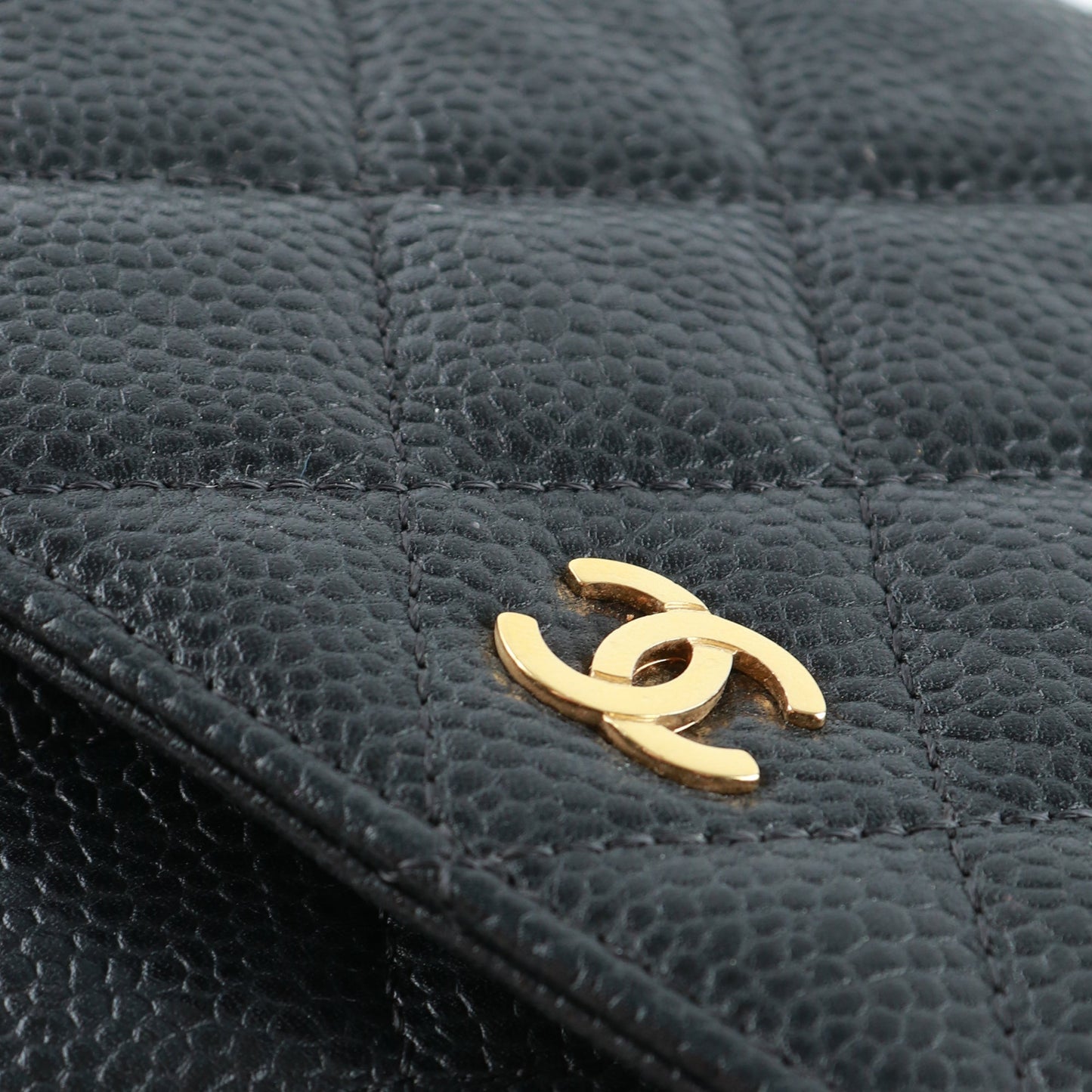 CHANEL Handbags Wallet On Chain Timeless/Classique