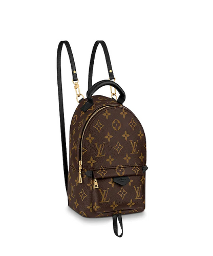 Louis Vuitton Palm Springs Backpack Mini Monogram