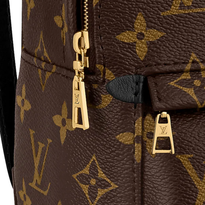 Louis Vuitton Palm Springs Backpack Mini Monogram